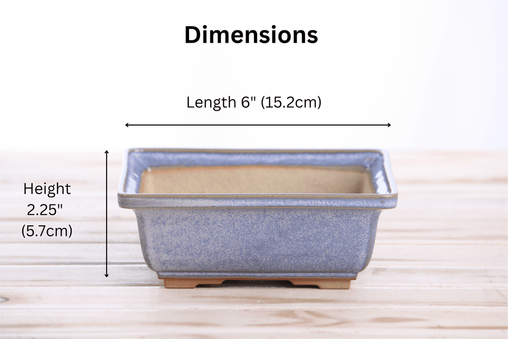 Willow Bonsai Ceramics Square Bonsai Pot 6 Inch – Low‑Profile Square Ceramic Bonsai & Succulent Planter with Accentuated Rim, High‑Fired Frost‑Proof Stoneware, Handmade in USA (Denim) - Che Cose Belle