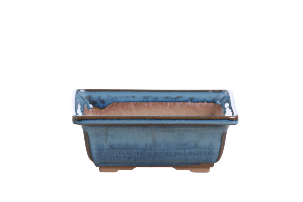 Willow Bonsai Ceramics Square Bonsai Pot 6 Inch – Low‑Profile Square Ceramic Bonsai & Succulent Planter with Accentuated Rim, High‑Fired Frost‑Proof Stoneware, Handmade in USA (Peacock 2025) - Che Cose Belle