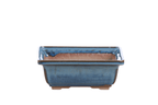 Willow Bonsai Ceramics Square Bonsai Pot 6 Inch – Low‑Profile Square Ceramic Bonsai & Succulent Planter with Accentuated Rim, High‑Fired Frost‑Proof Stoneware, Handmade in USA (Peacock 2025) - Che Cose Belle