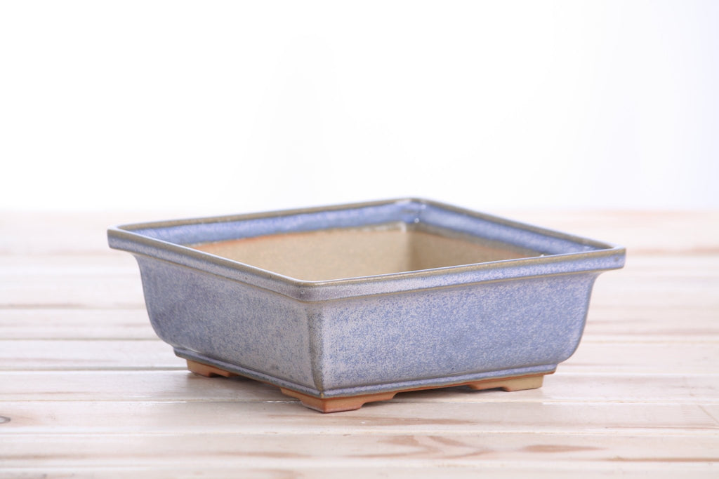 Willow Bonsai Ceramics Square Bonsai Pot 6 Inch – Low‑Profile Square Ceramic Bonsai & Succulent Planter with Accentuated Rim, High‑Fired Frost‑Proof Stoneware, Handmade in USA (Denim) - Che Cose Belle