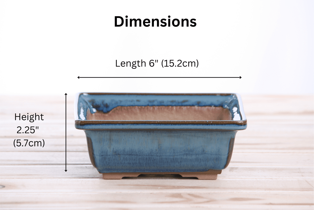 Willow Bonsai Ceramics Square Bonsai Pot 6 Inch – Low‑Profile Square Ceramic Bonsai & Succulent Planter with Accentuated Rim, High‑Fired Frost‑Proof Stoneware, Handmade in USA (Peacock 2025) - Che Cose Belle
