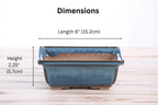Willow Bonsai Ceramics Square Bonsai Pot 6 Inch – Low‑Profile Square Ceramic Bonsai & Succulent Planter with Accentuated Rim, High‑Fired Frost‑Proof Stoneware, Handmade in USA (Peacock 2025) - Che Cose Belle