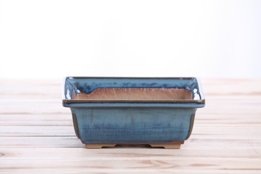 Willow Bonsai Ceramics Square Bonsai Pot 6 Inch – Low‑Profile Square Ceramic Bonsai & Succulent Planter with Accentuated Rim, High‑Fired Frost‑Proof Stoneware, Handmade in USA (Peacock 2025) - Che Cose Belle