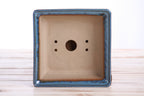 Willow Bonsai Ceramics Square Bonsai Pot 6 Inch – Low‑Profile Square Ceramic Bonsai & Succulent Planter with Accentuated Rim, High‑Fired Frost‑Proof Stoneware, Handmade in USA (Peacock 2025) - Che Cose Belle
