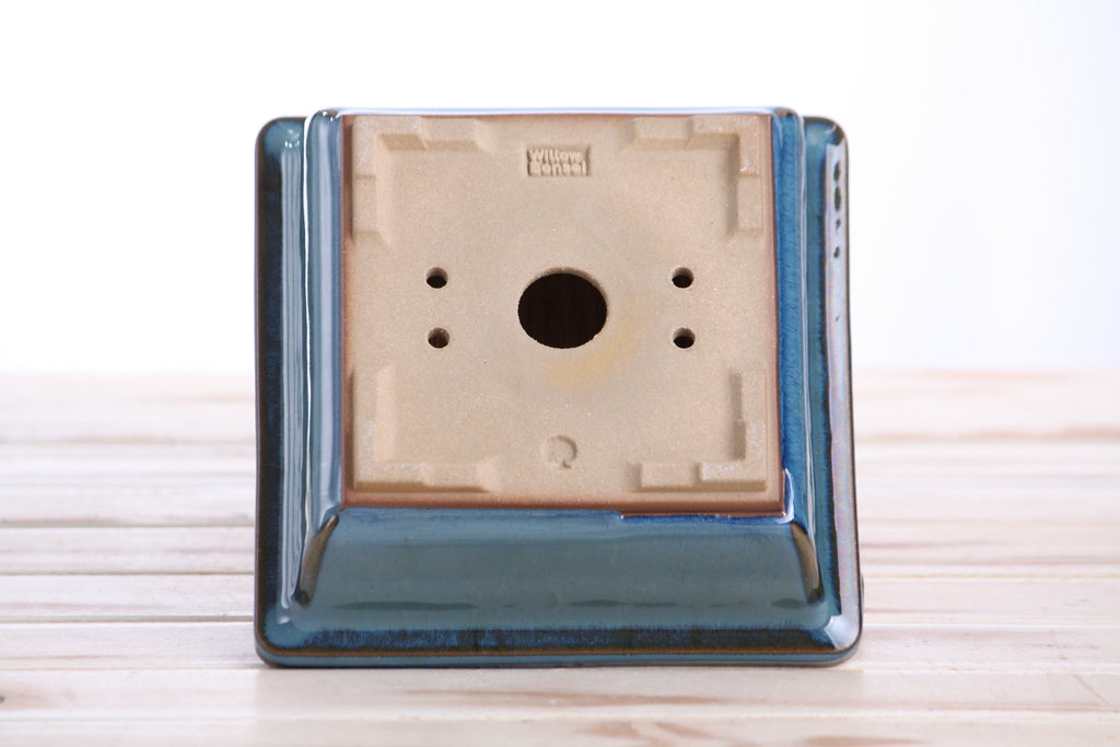 Willow Bonsai Ceramics Square Bonsai Pot 6 Inch – Low‑Profile Square Ceramic Bonsai & Succulent Planter with Accentuated Rim, High‑Fired Frost‑Proof Stoneware, Handmade in USA (Peacock 2025) - Che Cose Belle
