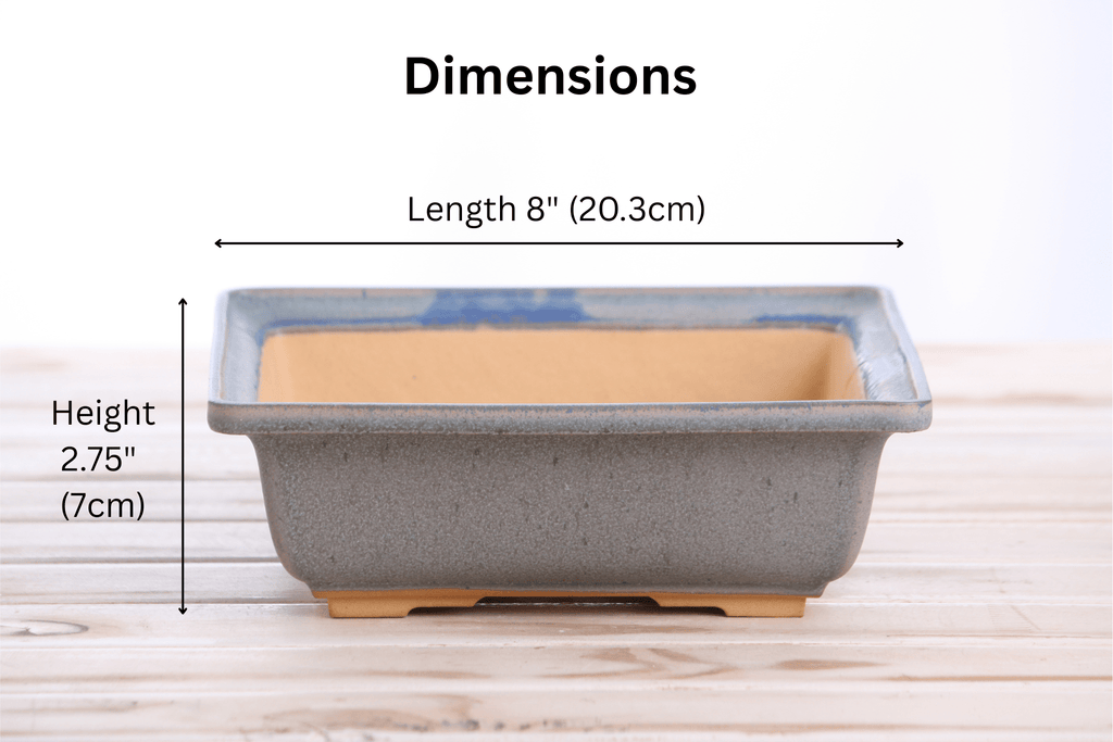 Willow Bonsai Ceramics Square Bonsai Pot 8 Inch – Low‑Profile Square Ceramic Bonsai & Succulent Planter with Accentuated Rim, High‑Fired Frost‑Proof Stoneware, Handmade in USA (Ocean) - Che Cose Belle