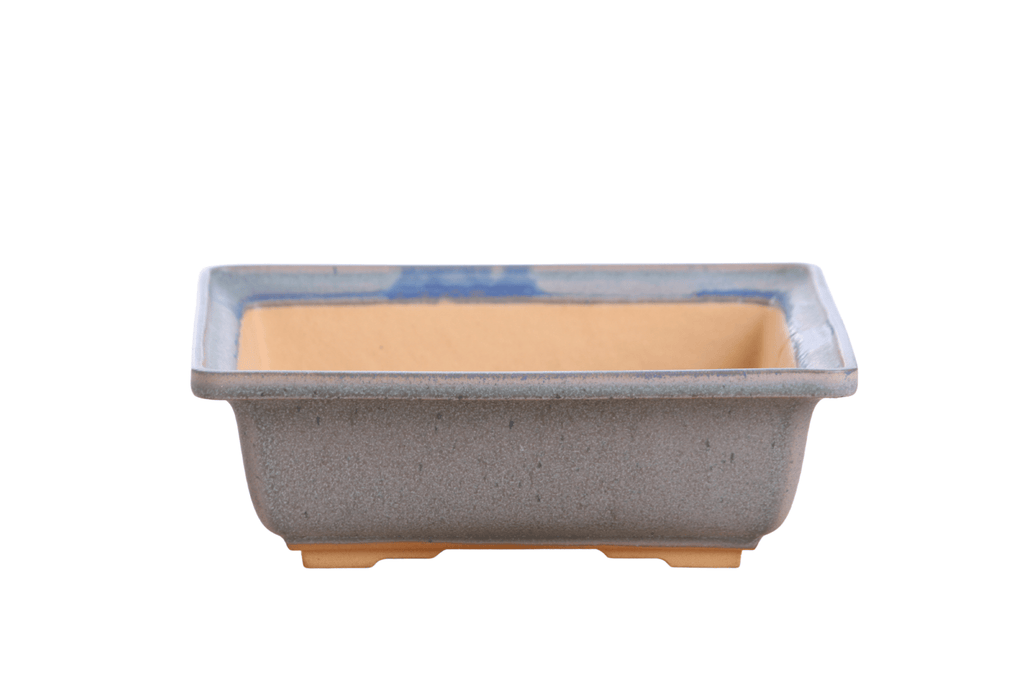 Willow Bonsai Ceramics Square Bonsai Pot 8 Inch – Low‑Profile Square Ceramic Bonsai & Succulent Planter with Accentuated Rim, High‑Fired Frost‑Proof Stoneware, Handmade in USA (Ocean) - Che Cose Belle