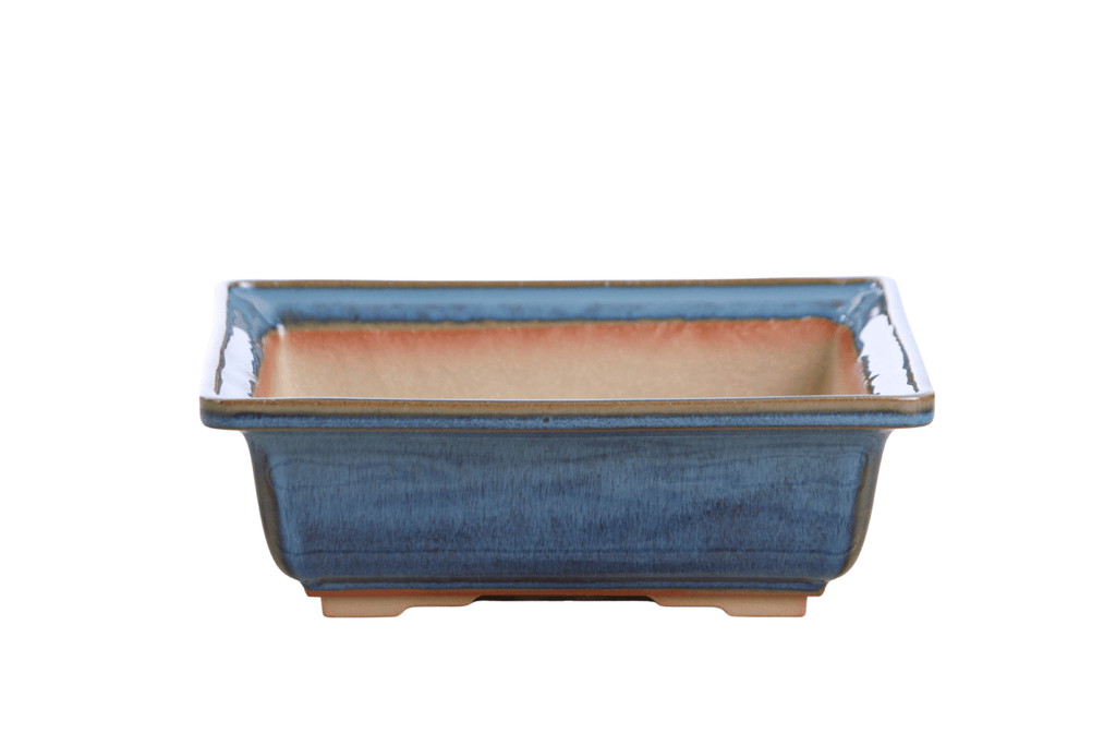 Willow Bonsai Ceramics Square Bonsai Pot 8 Inch – Low‑Profile Square Ceramic Bonsai & Succulent Planter with Accentuated Rim, High‑Fired Frost‑Proof Stoneware, Handmade in USA (Peacock 2025) - Che Cose Belle