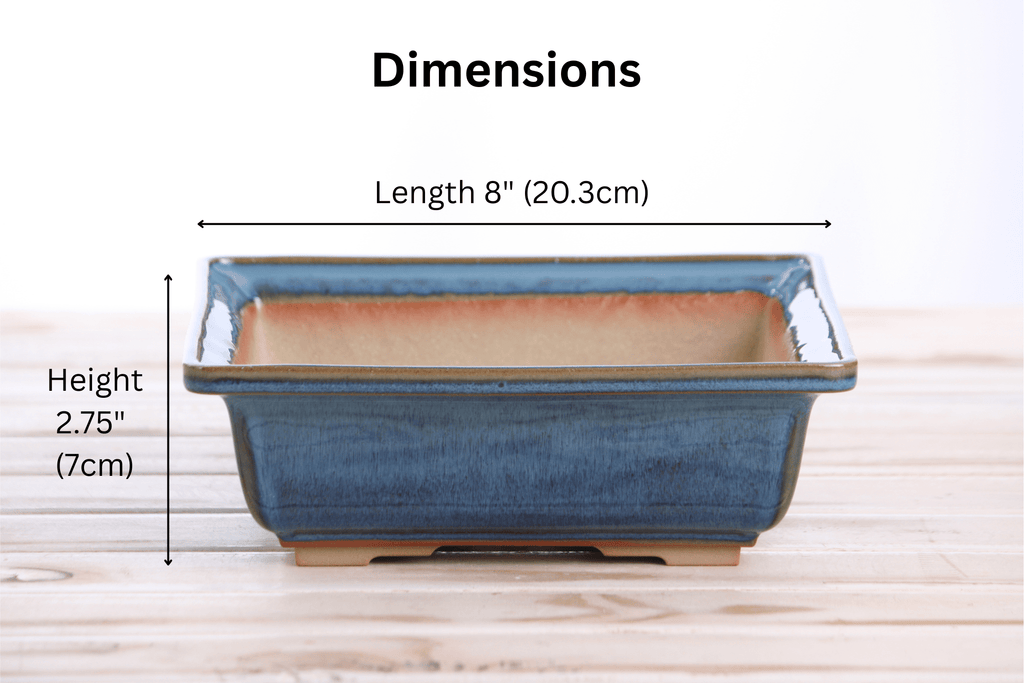 Willow Bonsai Ceramics Square Bonsai Pot 8 Inch – Low‑Profile Square Ceramic Bonsai & Succulent Planter with Accentuated Rim, High‑Fired Frost‑Proof Stoneware, Handmade in USA (Peacock 2025) - Che Cose Belle