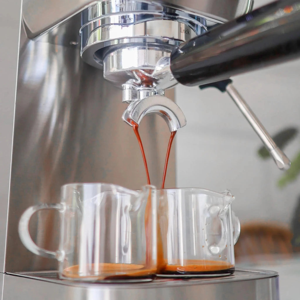 Wirsh 20 Bar Espresso Machine | Home Barista Plus with Pressure Gauge & Steam Wand - Che Cose Belle