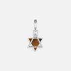 Wise Devotion Silver Tiger’s Eye Star of David Charm - Che Cose Belle