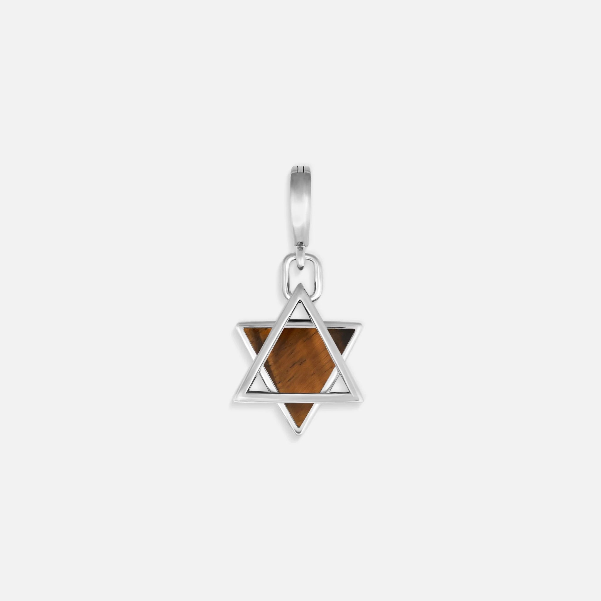Wise Devotion Silver Tiger’s Eye Star of David Charm - Che Cose Belle