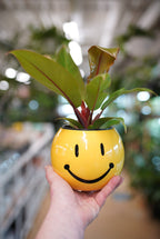 Yellow Smiley Face Planter - Che Cose Belle