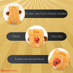 Zen Pup w/Anxiety Reducing Heartbeat - Che Cose Belle